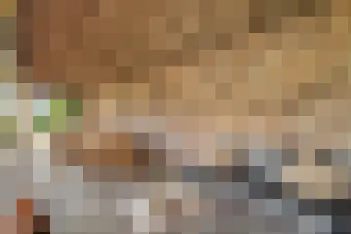 Eerste Schansweg 3 Balkbrug thumbnail 98