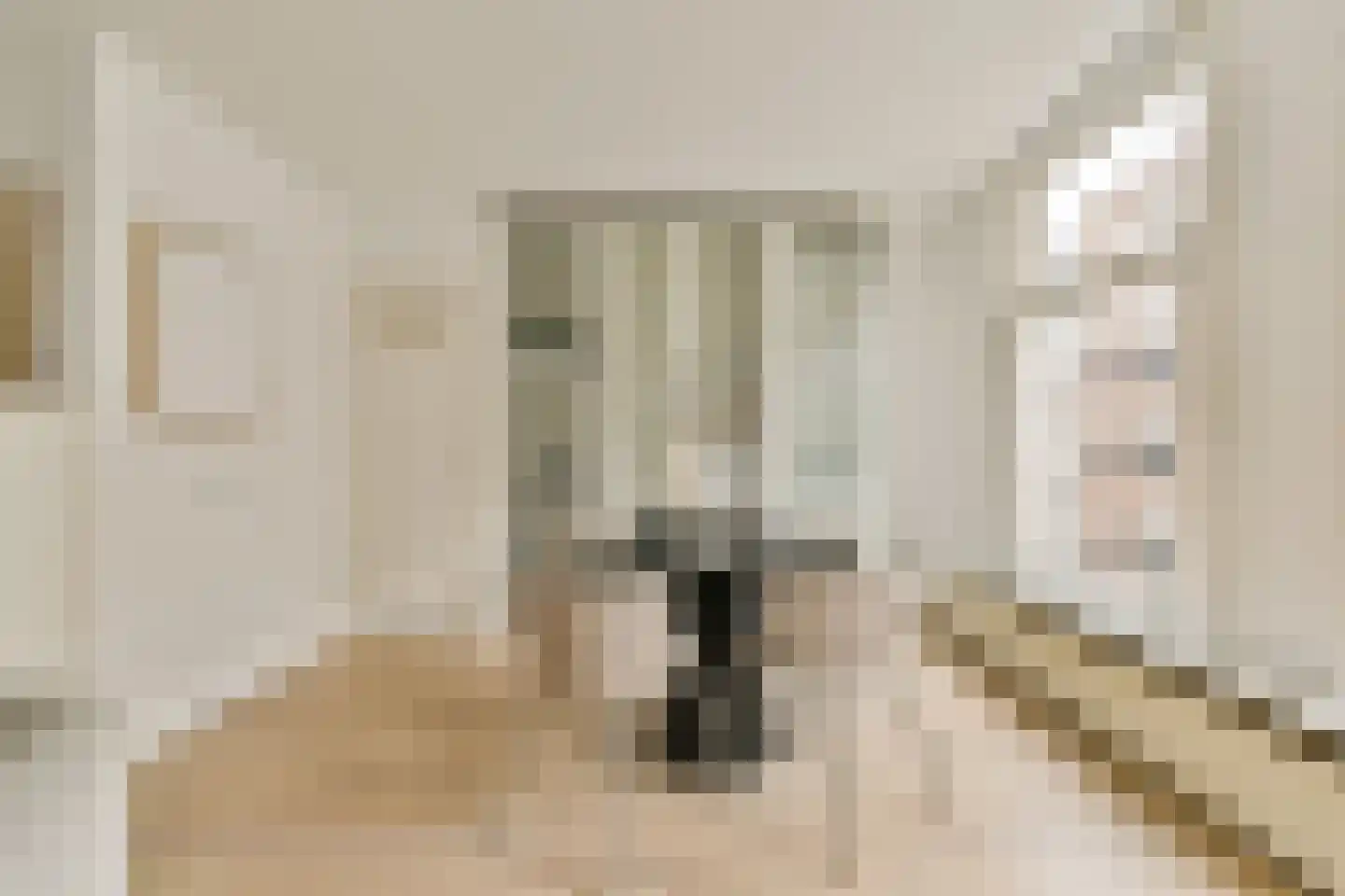 Eerste Schinkelstraat 12 1 Amsterdam thumbnail 5