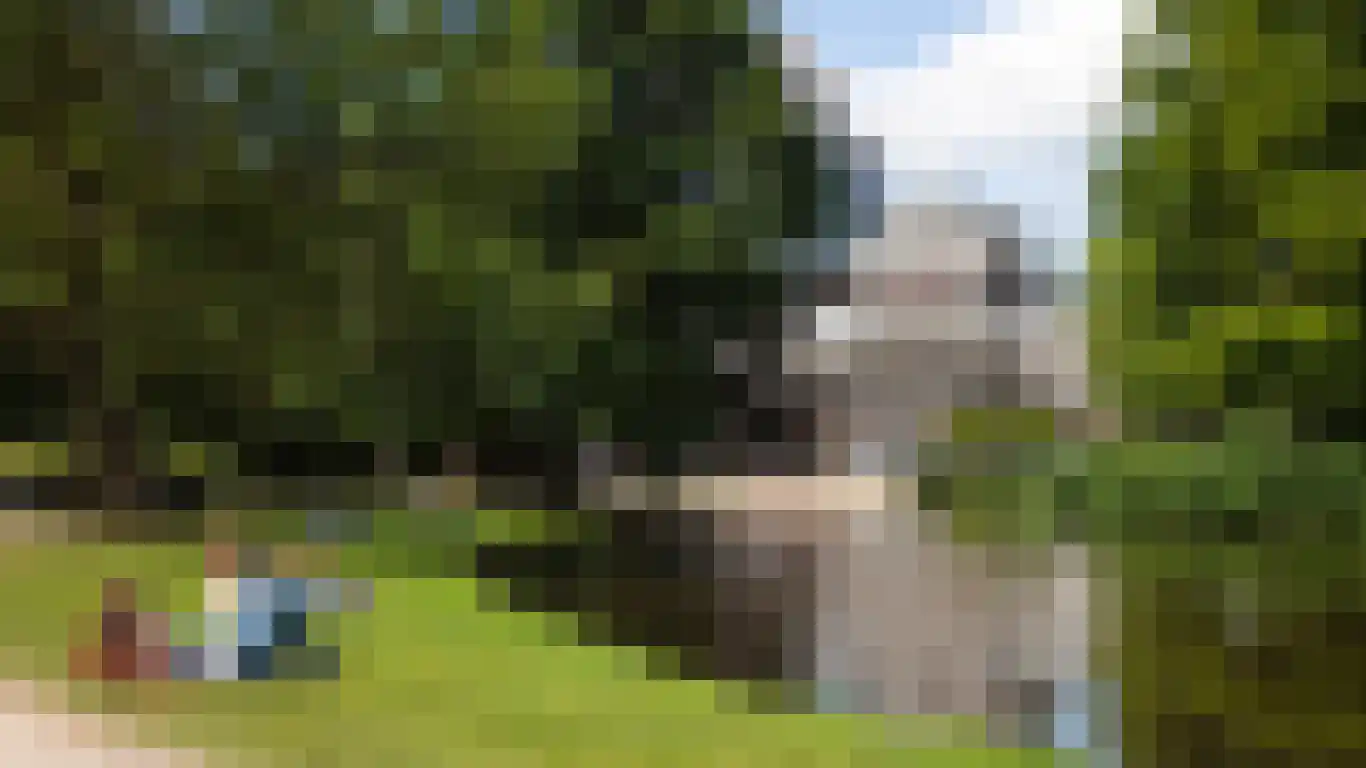 Eerste Schinkelstraat 12 2 Amsterdam thumbnail 16