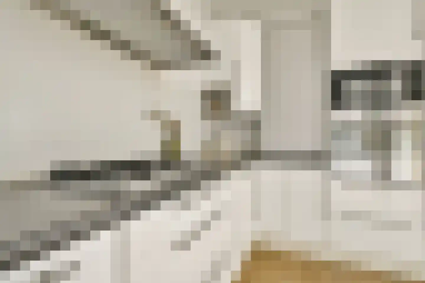 Eerste Schinkelstraat 13 K Amsterdam thumbnail 15