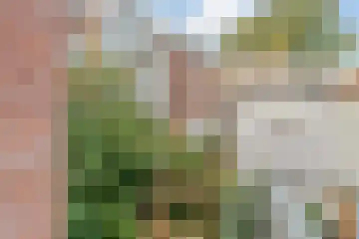 Eerste Schinkelstraat 22 1 Amsterdam thumbnail 21