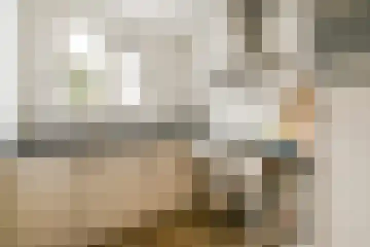 Eerste Schinkelstraat 5 B Amsterdam thumbnail 5