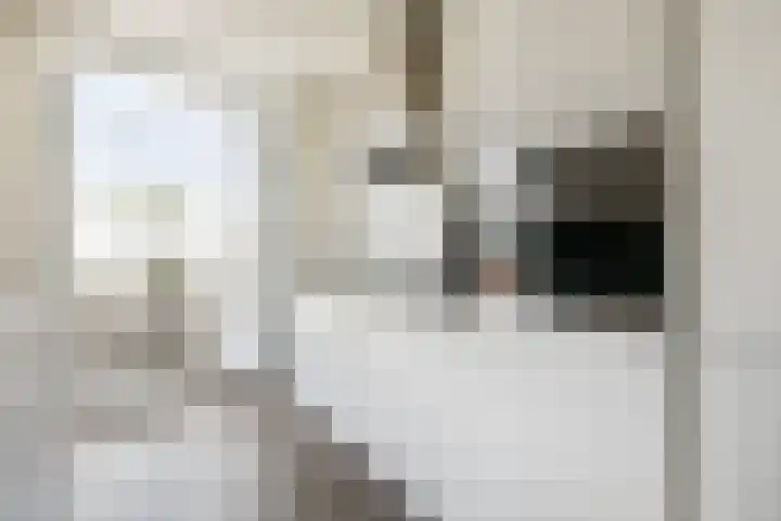 Eerste Schinkelstraat 8 2 Amsterdam thumbnail 11