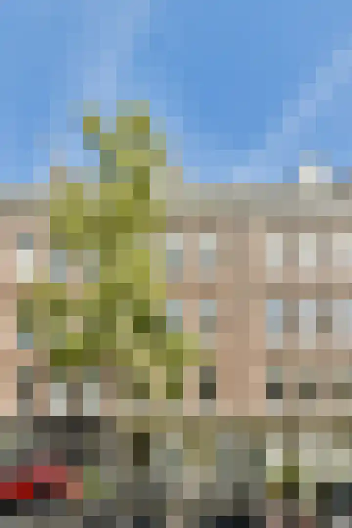 Eerste Schinkelstraat 8 2 Amsterdam thumbnail 13