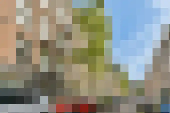 Eerste Schinkelstraat 8 2 Amsterdam thumbnail 25
