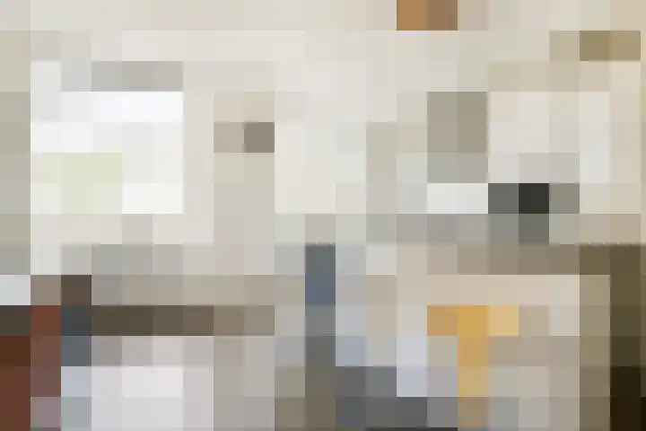 Eerste Schinkelstraat 8 2 Amsterdam thumbnail 8