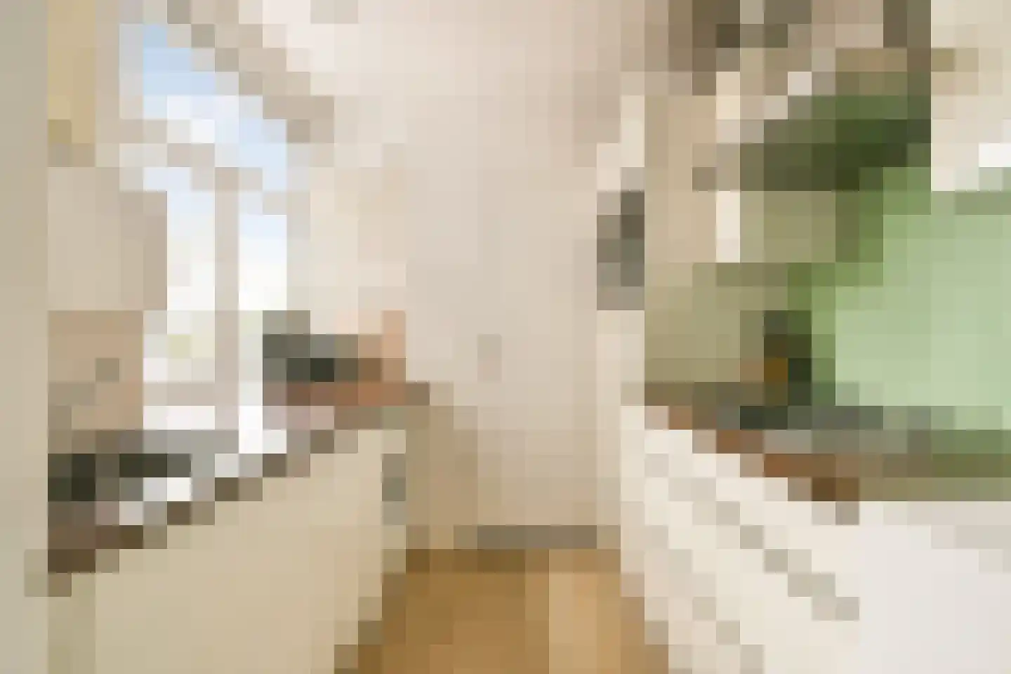 Eerste Schinkelstraat 9 2 Amsterdam thumbnail 4