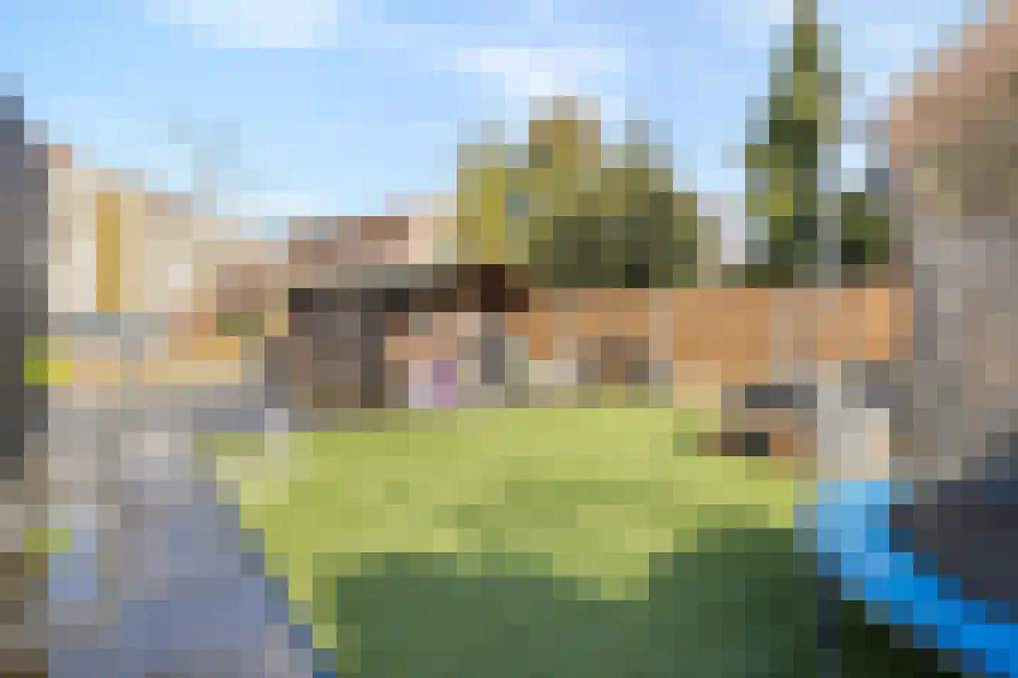 Eerste Sligtestraat 20 Almelo thumbnail 32