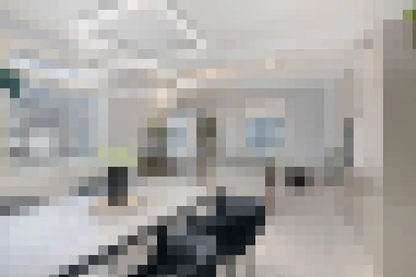 Eerste Sligtestraat 20 Almelo thumbnail 7