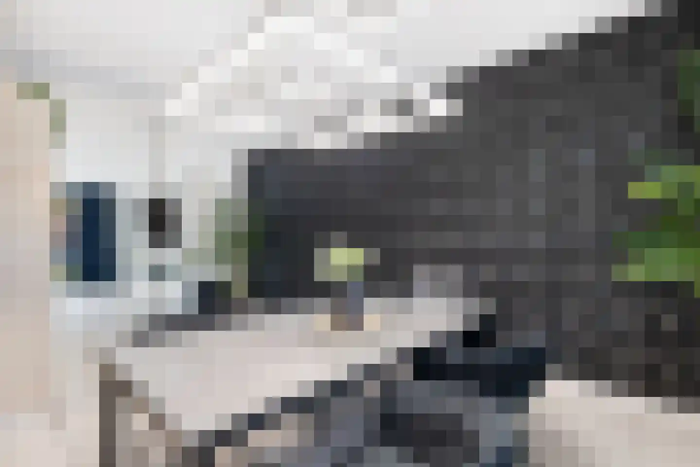 Eerste Sligtestraat 20 Almelo thumbnail 9