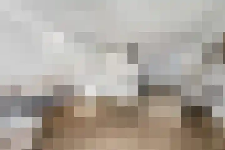 Eerste Sluisje 1 Tiel thumbnail 10