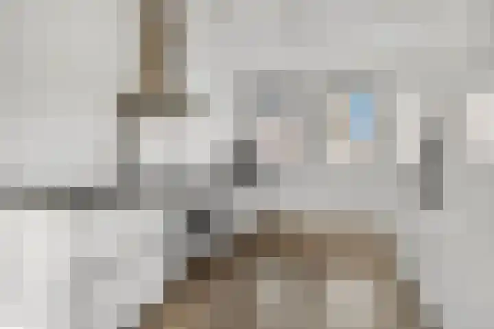 Eerste Sluisje 1 Tiel thumbnail 11