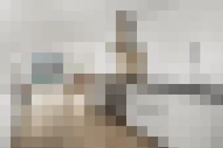 Eerste Sluisje 1 Tiel thumbnail 13