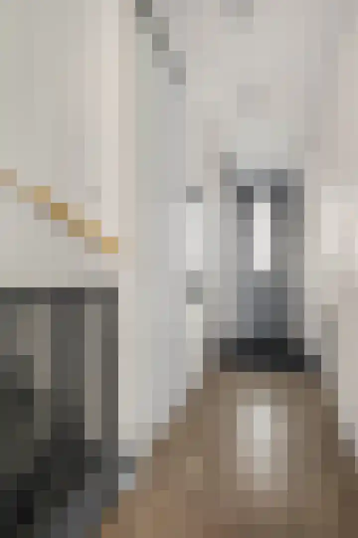 Eerste Sluisje 1 Tiel thumbnail 14