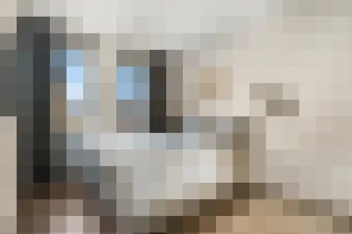 Eerste Sluisje 1 Tiel thumbnail 17