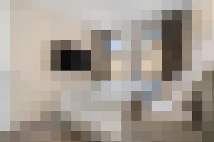 Eerste Sluisje 1 Tiel thumbnail 18