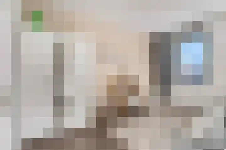 Eerste Sluisje 1 Tiel thumbnail 20