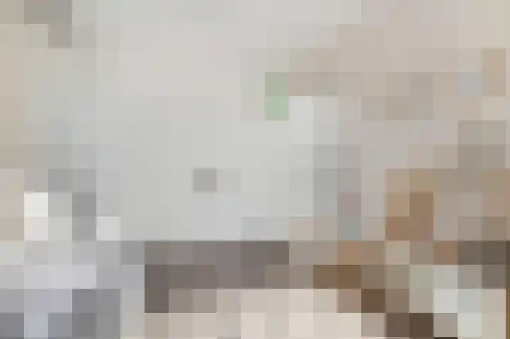 Eerste Sluisje 1 Tiel thumbnail 21