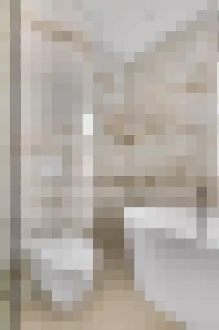 Eerste Sluisje 1 Tiel thumbnail 23