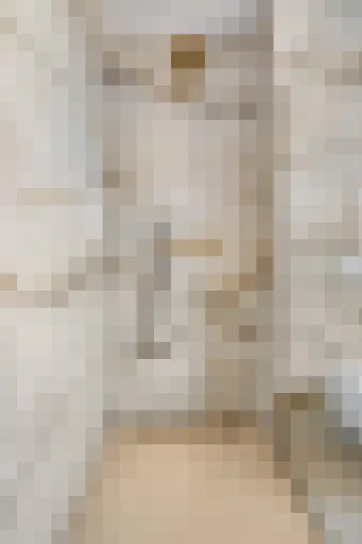Eerste Sluisje 1 Tiel thumbnail 25