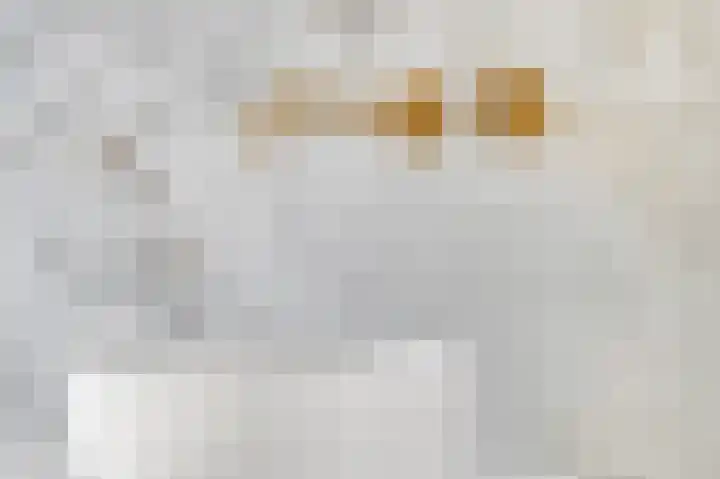 Eerste Sluisje 1 Tiel thumbnail 27