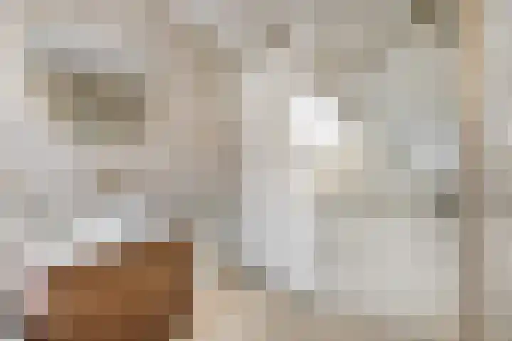 Eerste Sluisje 1 Tiel thumbnail 28