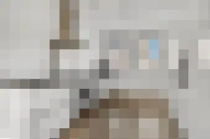 Eerste Sluisje 1 Tiel foto 3