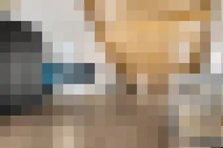 Eerste Sluisje 1 Tiel thumbnail 33