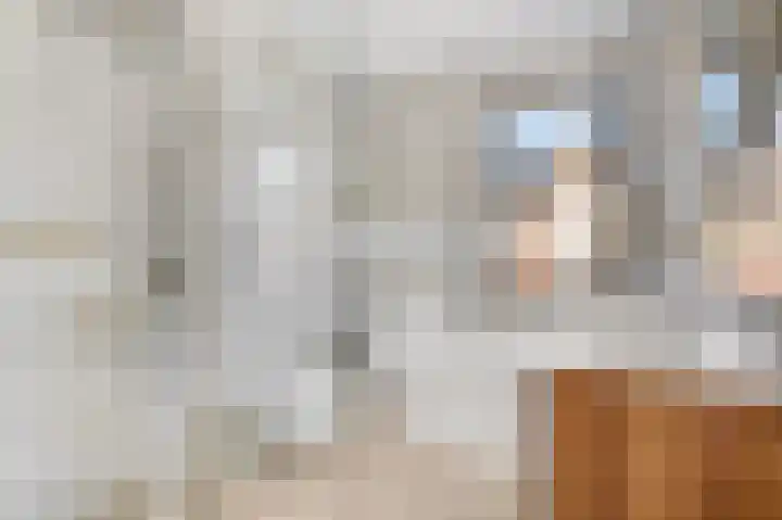 Eerste Sluisje 1 Tiel thumbnail 4