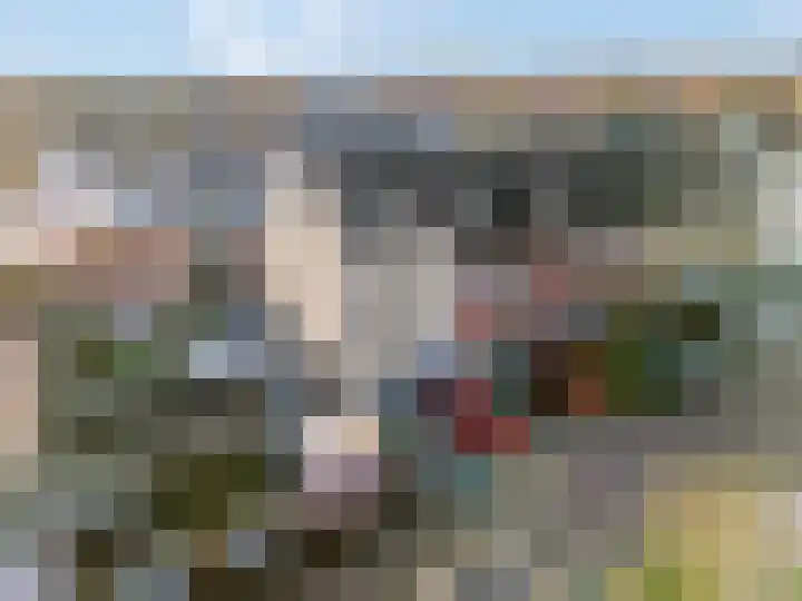 Eerste Sluisje 1 Tiel thumbnail 6
