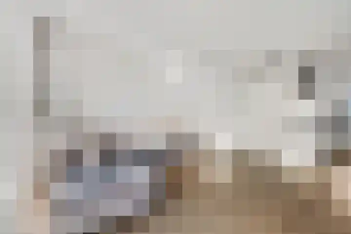 Eerste Sluisje 1 Tiel thumbnail 7