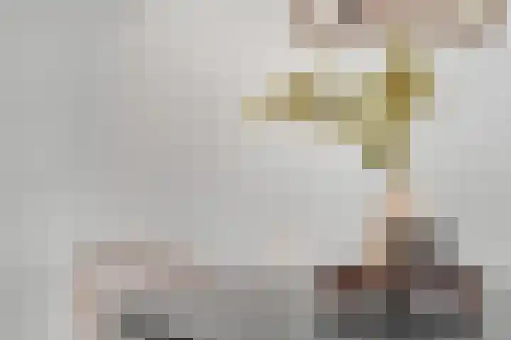 Eerste Sluisje 1 Tiel thumbnail 9