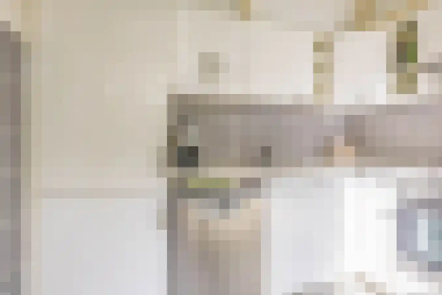 Eerste Spoorstraat 12 Groningen thumbnail 11