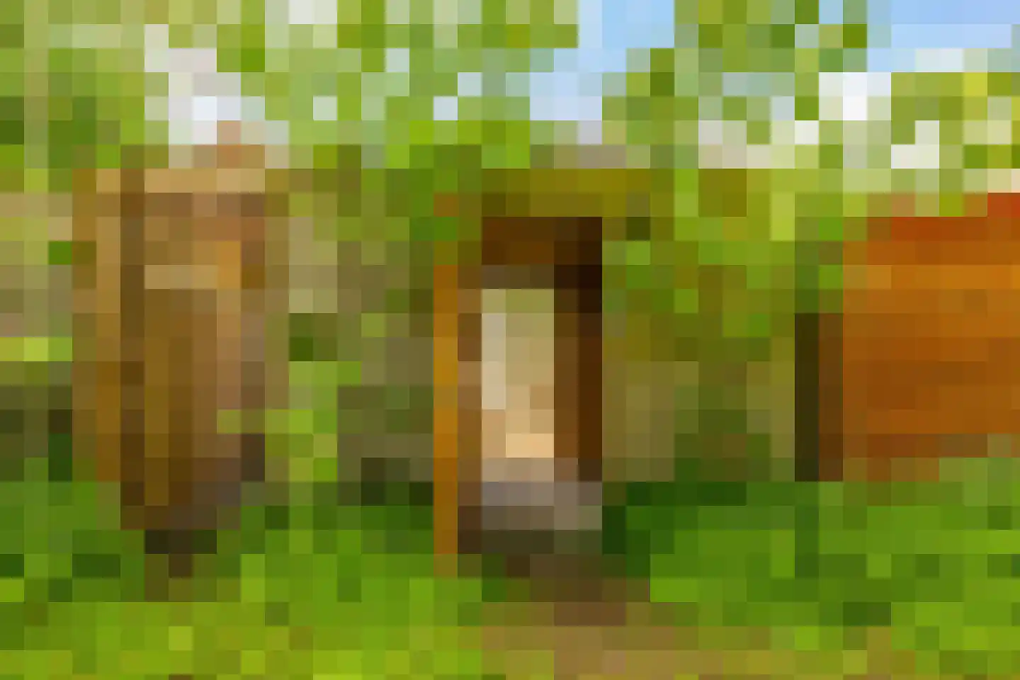 Eerste Spoorstraat 12 Groningen thumbnail 14