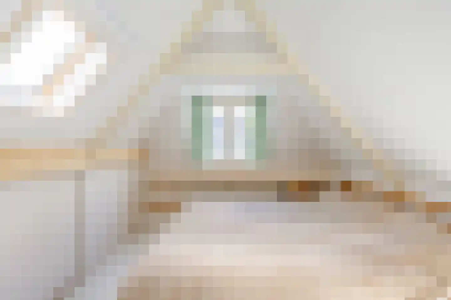 Eerste Spoorstraat 12 Groningen thumbnail 25