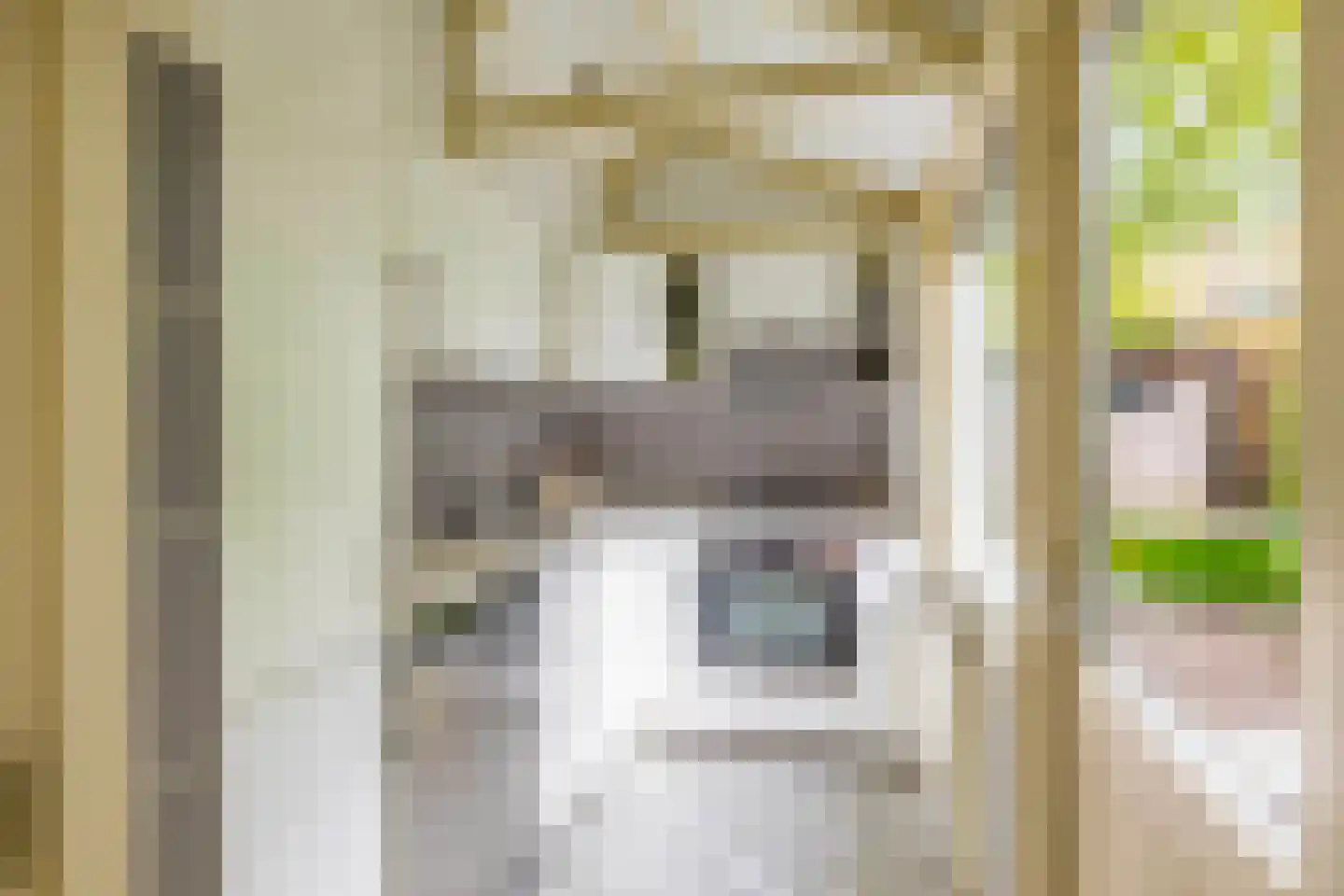 Eerste Spoorstraat 12 Groningen thumbnail 4