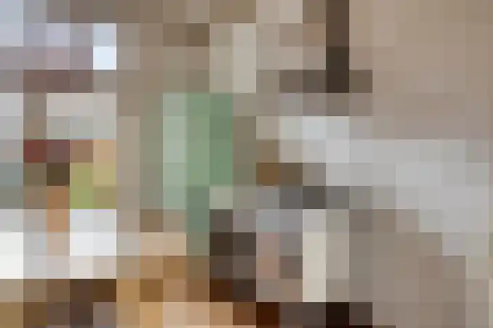 Eerste Spoorstraat 18 Groningen thumbnail 22