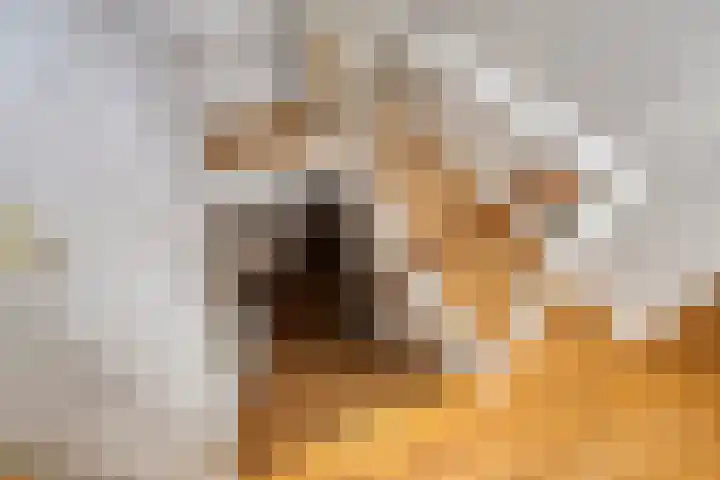 Eerste Spoorstraat 18 Groningen thumbnail 29