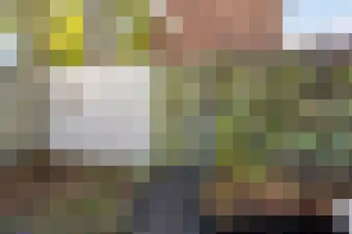 Eerste Spoorstraat 18 Groningen thumbnail 37