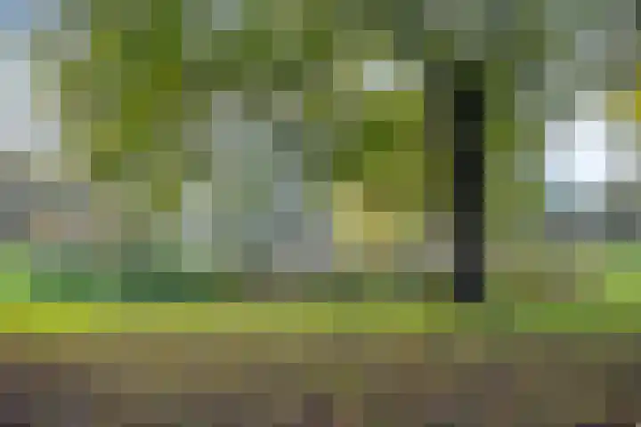 Eerste Spoorstraat 18 Groningen thumbnail 40