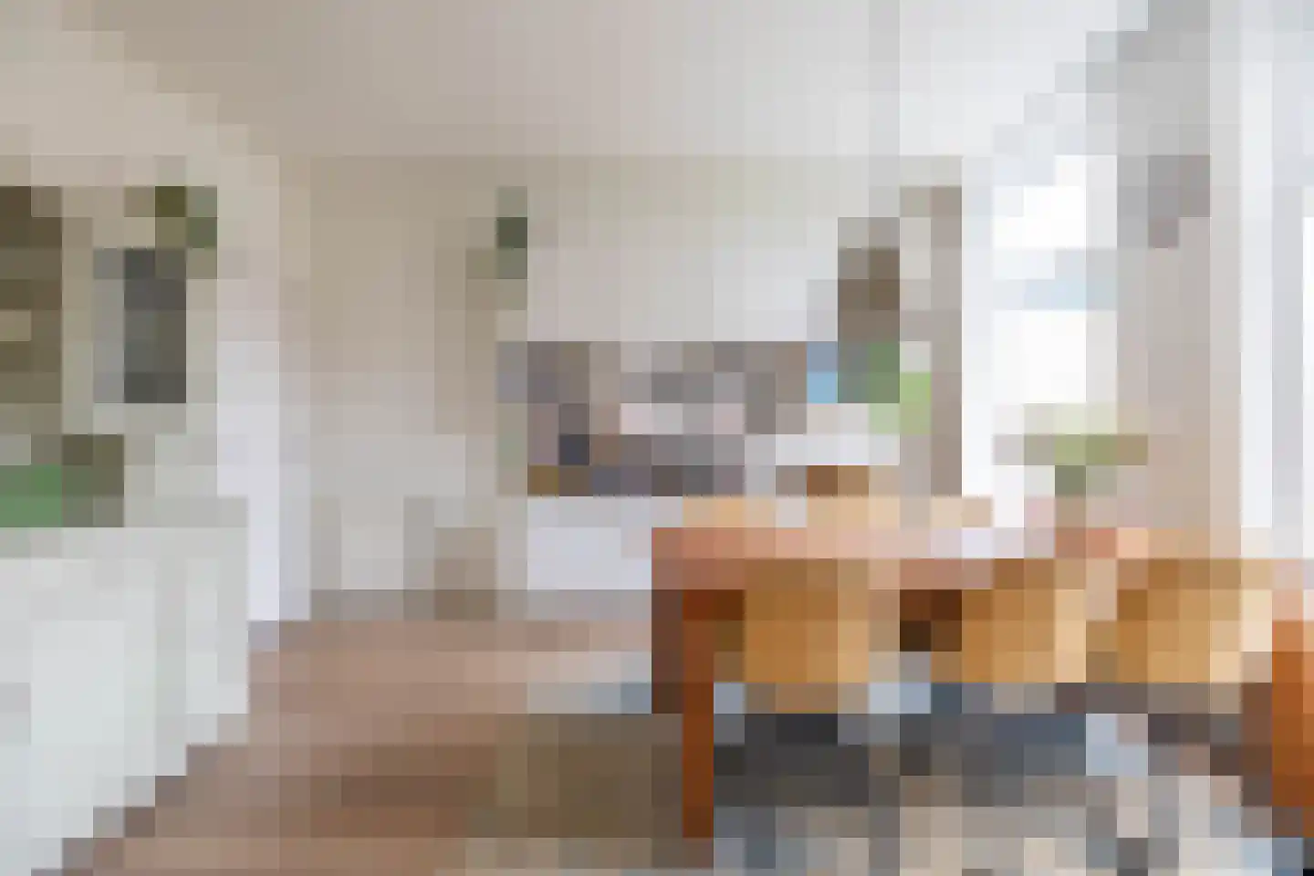 Eerste Spoorstraat 19 Groningen thumbnail 13