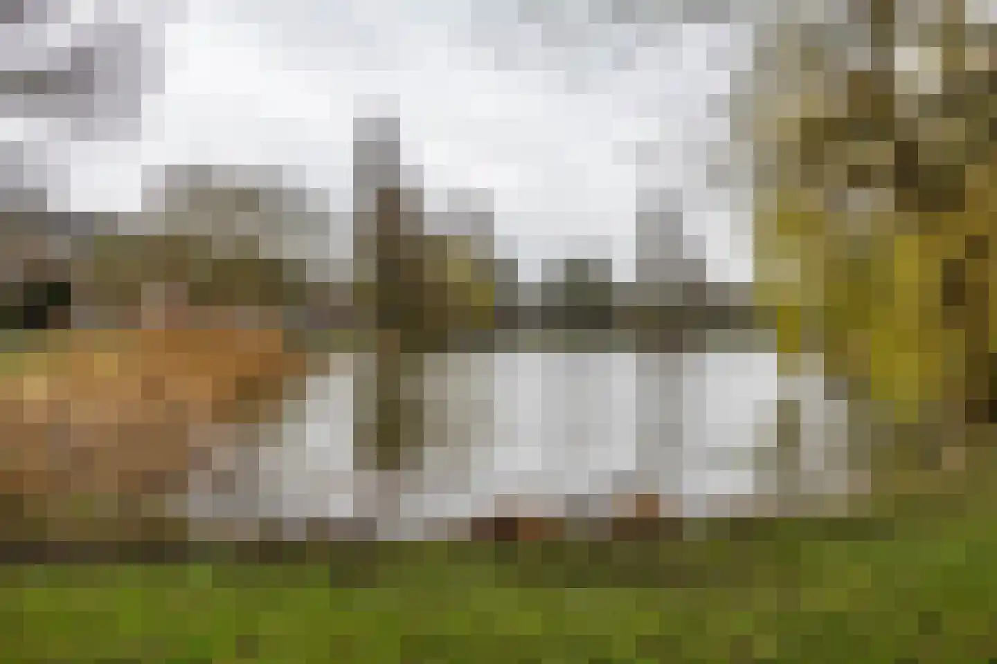 Eerste Spoorstraat 19 Groningen thumbnail 34
