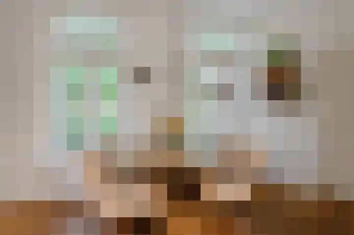 Eerste Spoorstraat 39 Groningen thumbnail 13