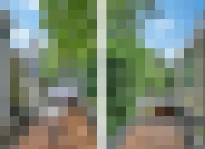 Eerste Spoorstraat 39 Groningen thumbnail 25