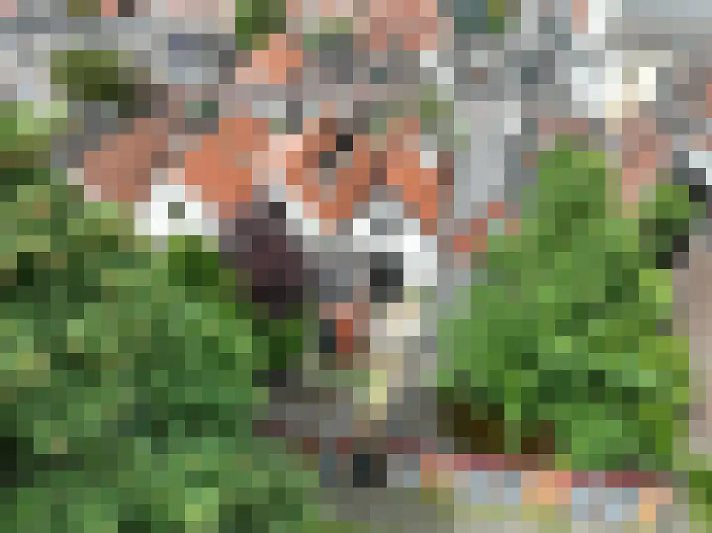 Eerste Spoorstraat 4 Groningen thumbnail 36