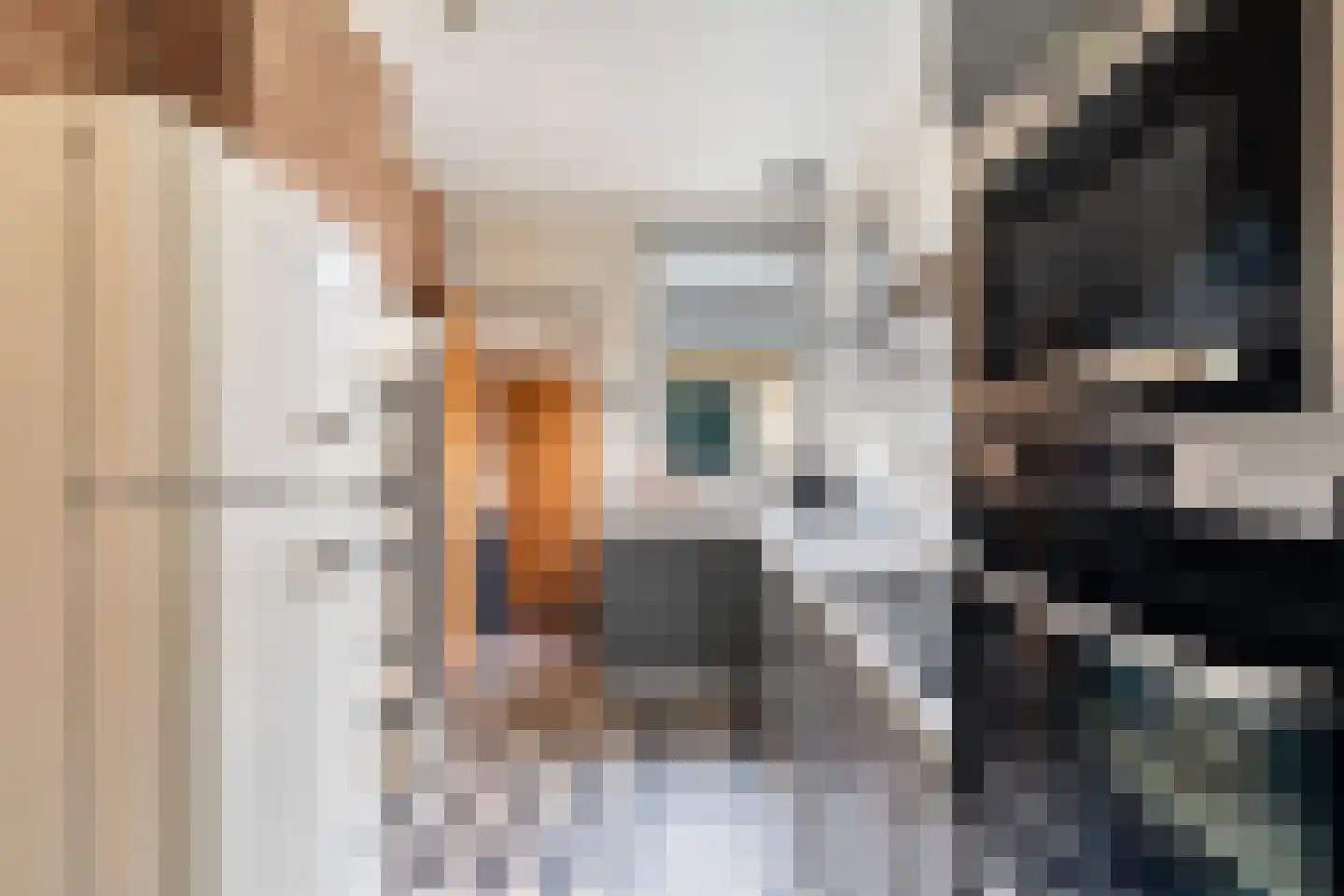 Eerste Stationsstraat 114 Zoetermeer thumbnail 18