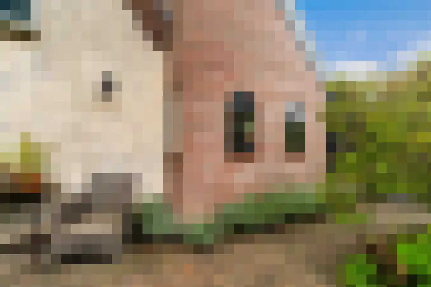 Eerste Stationsstraat 114 Zoetermeer thumbnail 26
