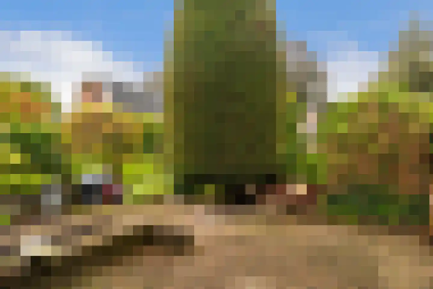 Eerste Stationsstraat 114 Zoetermeer thumbnail 31
