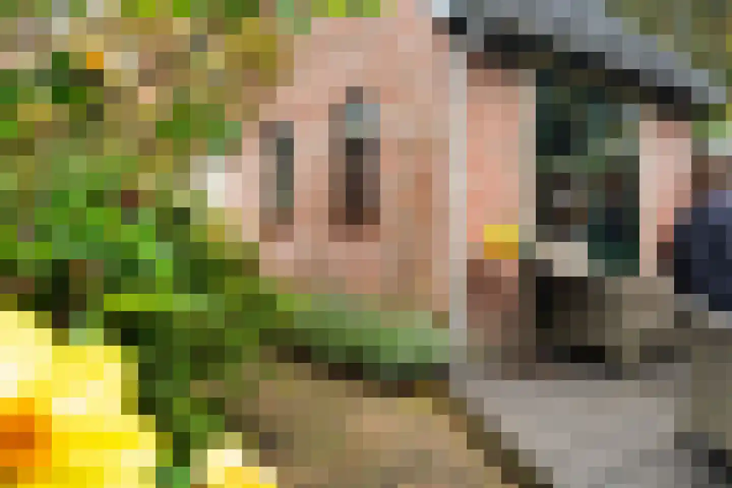 Eerste Stationsstraat 114 Zoetermeer thumbnail 37