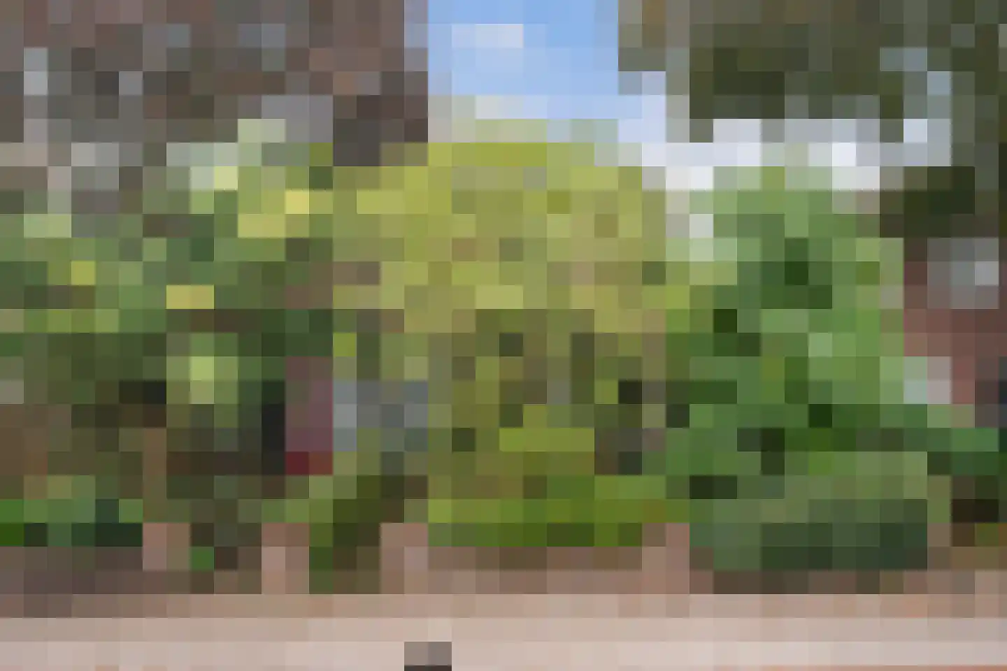 Eerste Stationsstraat 114 Zoetermeer thumbnail 52